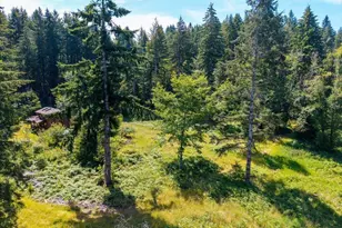 17016 Bratten Hill, Alsea, OR 97324 - Photo 24