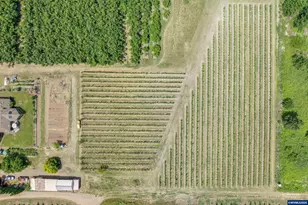 30248 S Barlow Rd, Hubbard, OR 97032 - Photo 4