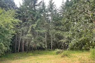 825 SW Pioneer Dr, Willamina, OR 97396 - Photo 46