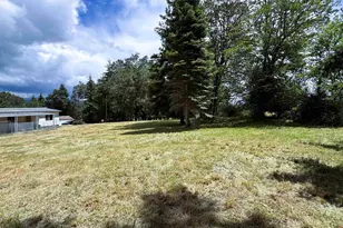 27690 Fern Ridge Rd, Sweet Home, OR 97386 - Photo 10