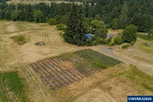 37625 Sunset Ln, Brownsville, OR 97327 - Photo 44