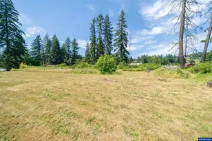 11124 Wagner Rd, Lyons, OR 97358 - Photo 36