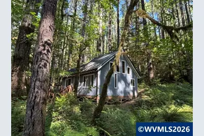66B Stahlman Fs 049 Rd, Detroit, OR 97342 - Photo 30