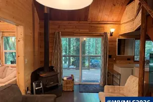 66B Stahlman Fs 049 Rd, Detroit, OR 97342 - Photo 18