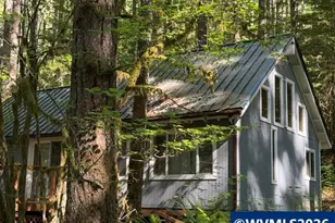 66B Stahlman Fs 049 Rd, Detroit, OR 97342 - Photo 8