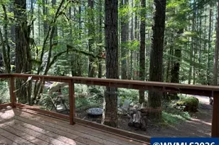 66B Stahlman Fs 049 Rd, Detroit, OR 97342 - Photo 26