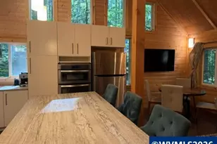 66B Stahlman Fs 049 Rd, Detroit, OR 97342 - Photo 6