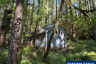 66B Stahlman Fs 049 Rd, Detroit, OR 97342 - Photo 34