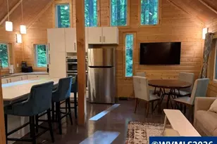 66B Stahlman Fs 049 Rd, Detroit, OR 97342 - Photo 2