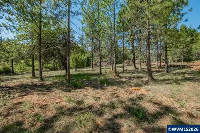 38835 Crawfordsville Dr (Next To) Dr, Sweet Home, OR 97386 - Photo 18