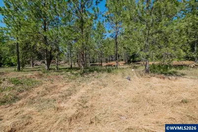 38835 Crawfordsville Dr (Next To) Dr, Sweet Home, OR 97386 - Photo 16