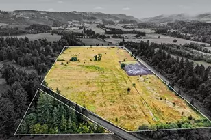 43417 Thomas Creek Dr, Scio, OR 97374 - Photo 6