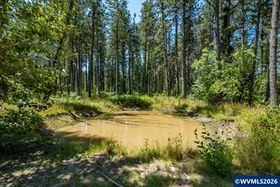 29727 Santiam Terrace Rd, Lebanon, OR 97355 - Photo 4