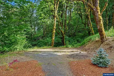 41205 SW Pumpkinseed Rd, Willamina, OR 97396 - Photo 42