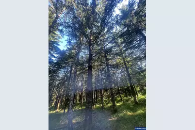 27181 S Frys Ln, Sheridan, OR 97378 - Photo 10