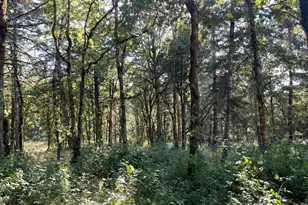 27181 S Frys Ln, Sheridan, OR 97378 - Photo 24