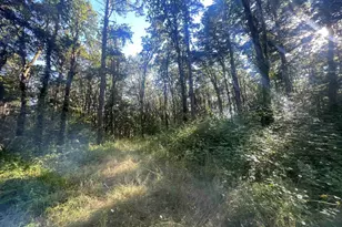 27181 S Frys Ln, Sheridan, OR 97378 - Photo 8