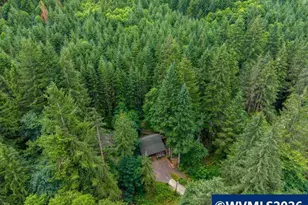 10256 Ridgeview Ter, Birkenfield, OR 97016 - Photo 30