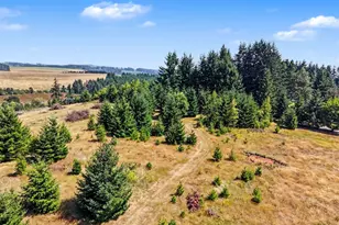 3432 Seminole Rd NE, Silverton, OR 97381 - Photo 48