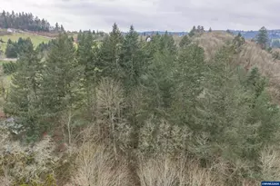 2468 Morrow Ct NW, Salem, OR 97304 - Photo 18