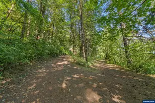 27020 Reese Creek Rd, Monroe, OR 97456 - Photo 10