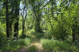 Lot 1500 &amp 1600 Skillings Dr, Corvallis, OR 97330 - Photo 1