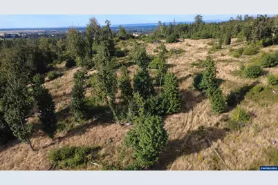 Ta 0037834 Rodgers Dr, Scio, OR 97374 - Photo 4