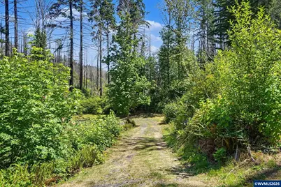 26457 and 26497 Taylor Park Rd S, Lyons, OR 97358 - Photo 24