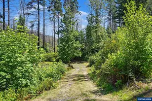 26457 and 26497 Taylor Park Rd S, Lyons, OR 97358 - Photo 24