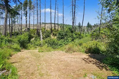26457 and 26497 Taylor Park Rd S, Lyons, OR 97358 - Photo 26