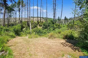 26457 and 26497 Taylor Park Rd S, Lyons, OR 97358 - Photo 26