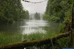 24218 Vaughn Rd, Veneta, OR 97487 - Photo 14