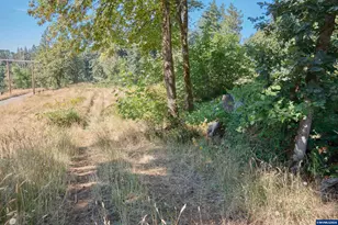 37672 Rodgers Dr Dr, Scio, OR 97374 - Photo 36
