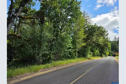 00 Fish Hatchery Dr, Scio, OR 97374 - Photo 2