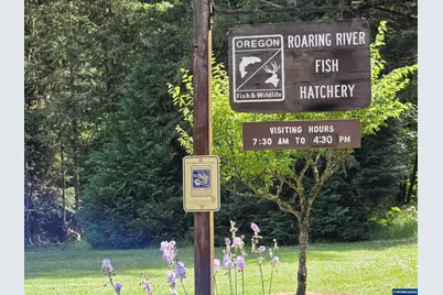 00 Fish Hatchery Dr, Scio, OR 97374 - Photo 4