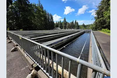 00 Fish Hatchery Dr, Scio, OR 97374 - Photo 6