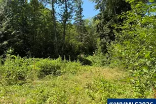 38266 E Knieriem Rd, Corbett, OR 97019 - Photo 30