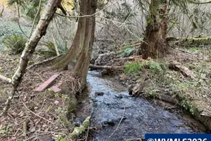 38266 E Knieriem Rd, Corbett, OR 97019 - Photo 38
