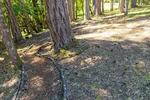1380 NW Magnolia Dr, Corvallis, OR 97330 - Photo 46