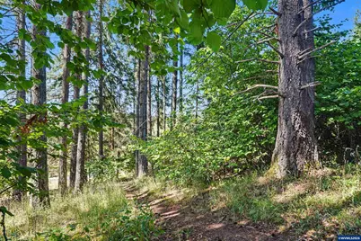 30090 Vicki Ln, Lebanon, OR 97355 - Photo 46