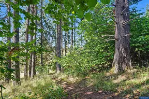 30090 Vicki Ln, Lebanon, OR 97355 - Photo 46