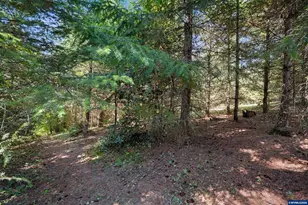 30090 Vicki Ln, Lebanon, OR 97355 - Photo 44
