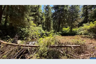 1799 N Doris Ln, Otis, OR 97368 - Photo 22