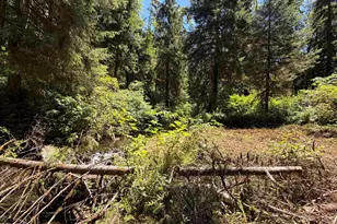 1799 N Doris Ln, Otis, OR 97368 - Photo 22
