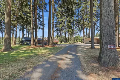 36765 Glaser Dr, Scio, OR 97374 - Photo 4