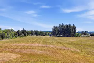 36765 Glaser Dr, Scio, OR 97374 - Photo 50