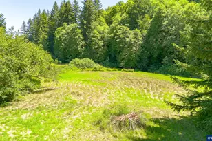 100 Burnt Woods Trail, Blodgett, OR 97326 - Photo 38