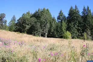 15881 SW Rock Creek Rd, Sheridan, OR 97378 - Photo 20