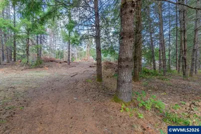 11 N Main St, Falls City, OR 97344 - Photo 10