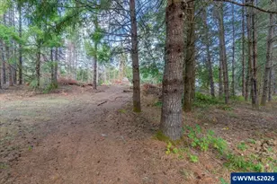 11 N Main St, Falls City, OR 97344 - Photo 10